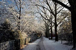 kornwestheim2007122507.jpg