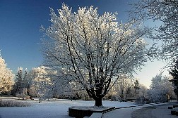 kornwestheim2007122510.jpg