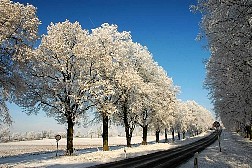 kornwestheim2007122515.jpg