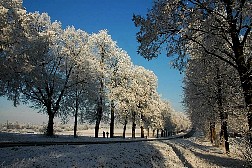 kornwestheim2007122516.jpg
