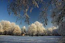 kornwestheim2007122518.jpg