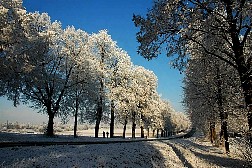 kornwestheim2007122523.jpg