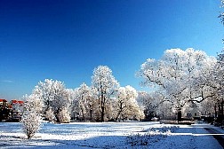 kornwestheim2007122534.jpg