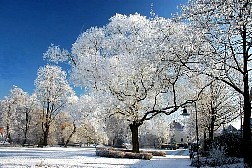 kornwestheim2007122535.jpg