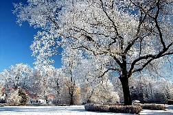 kornwestheim2007122536.jpg
