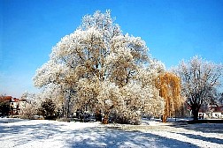 kornwestheim2007122539.jpg