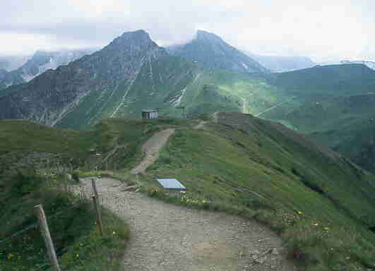 fellh12.jpg