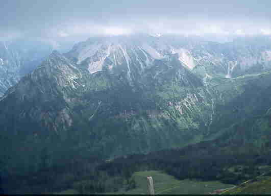 fellh15.jpg