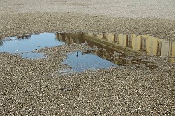 dsc0535.jpg