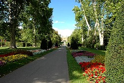 dsc0539.jpg