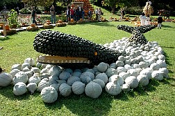 dsc0550.jpg