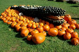 dsc0551.jpg