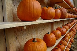 dsc0562.jpg