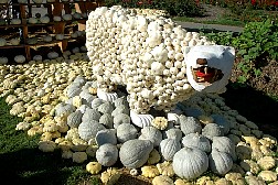 dsc0568.jpg
