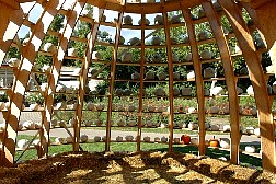 dsc0574.jpg