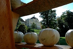 dsc0575.jpg