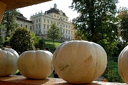 dsc0576.jpg