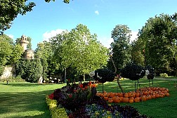 dsc0581.jpg