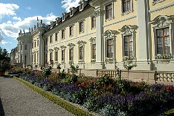 dsc0595.jpg