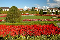 dsc0600.jpg