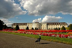 dsc0601.jpg