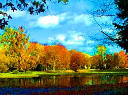 park.jpg