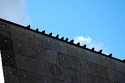 dsc3838.jpg