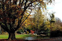 dsc3842.jpg